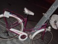 /album/se-venden/rosa-paseo-2-jpg/